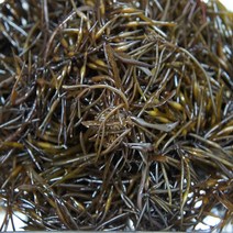 생물 국내산 싱싱 감태 톳 물김 생김 파래 1kg 옵션선택, 생톳 2kg