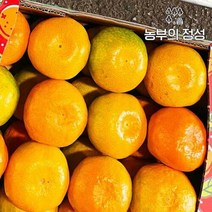 [농부의정성] 제주 하우스귤 선물용(로얄대과) 3kg, 단품없음