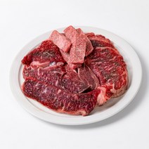 1++ 투플한우 모듬세트 800g 등심 새우살 살치살 채끝살 앞치마살 설깃머리살 삼각살 보섭살, 1++한우 소한판 모듬(800g)