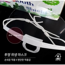 투명위생마스크 10매 강의용 강연 콜센터 학원 마스크