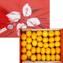 산지직송 제주 고당도 하우스 감귤 선물용 로열과, 1개, 5.5kg