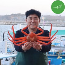 최고다농수산 홍게 산지직송 1kg 3kg 손질홍게 박달홍게 홍게도시락 자숙비용 무료, 러시아 박달홍게 1.2kg내외(생물)
