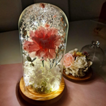 퀴니토퍼 프리저브드 카네이션 유리돔 프리저브드 꽃선물 LED 무드등 어버이날 선물, 핑크