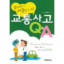 혼자서 해결할 수 있는 교통사고 Q & A, 가림M&B, 조명원 저