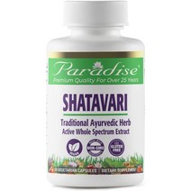 Paradise Herbs Shatavari 파라다이스 허브 샤타바리 250mg 60 정