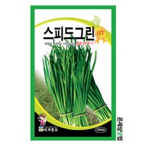 스피드그린 2000립 / 부추씨앗 부추씨 잎채소씨앗, 1개
