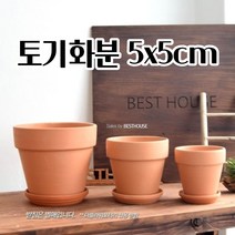 토기화분 5X5CM 브라운 토분 다육이 선인장 꽃 공 빈 이쁜 예쁜 화분 화려한화분 빈티지토분 화분
