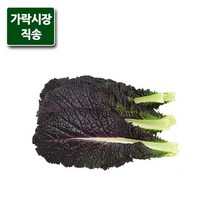 가락시장직송 적겨자 300g, 단품