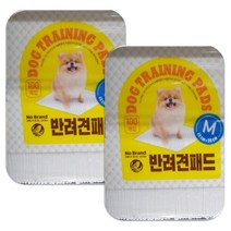노브랜드 반려견패드M 40x50cm 100매 x 2팩 배변훈련 강아지화장실, (40cm x 50cm 100매입) x 2팩