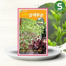 솔림텃밭몰 새싹삼색무순씨앗 30g 새싹삼색무순 새싹채소씨앗, 1개
