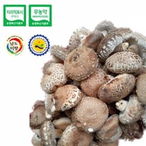 장흥표고 생표고버섯 (배지) 특상품 1kg (연중수확)