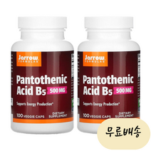 자로우 포뮬러스 판토텐산 B5 500mg 100개입 x 2개 [미국 직배송], 100개
