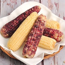 [푸르젠] 김동식님의 삶은 냉동 흑찰옥수수 15개입(3개씩 포장), 단일속성