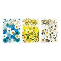GHSHOP 3× 말린 꽃 꽃 건조 혼합 스크랩북 DIY 꽃 장식 만들기, 13x18cm, 여러 가지 빛깔의
