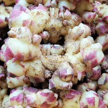 국내산 2023년 수확한 햇 생강 최상급 특품 1kg 3kg 5kg 10kg [노블프레쉬], 햇 생강 3kg