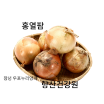 다이어트 햇양파즙, 120포