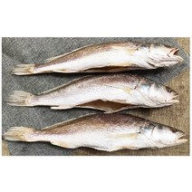 삼천포 용궁수산시장 반건조생선 모듬, 민어조기(반찬용)3~5미