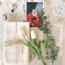 촬영 소품 세트 인스타 홈 카페 인테리어 천 영문 페이퍼 꾸미기 LEON 책, 단품