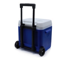 낚시 아이스박스 18리터 캐리어아이스박스, 블루