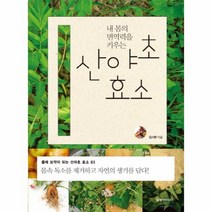 산야초 효소(내 몸의 면역력을 키우는)