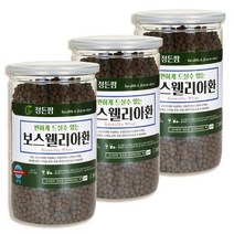 셀러허브 식품 [정든팜]오갈피나무 두충 포함 보스웰리아환 400g 3개, 보스웰릭산을더건강하게먹는방법