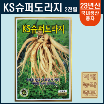 23년산 KS슈퍼도라지 씨앗 2천립- 국내생산종자, 1개