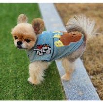 예보들 강아지이름표 애견인식표 강아지인식표 고양이인식표 강아지이름표목걸이 애견목걸이 강아지인식표목걸이 고양이목걸이, 1~2글자, 핀타입, 파랑색 하트