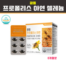 닥터 그린 프로폴리스 플라보노이드 17mg 호주프로폴리스 분말 가루 캡슐 아연 건조효모 꿀벌 초유 구강건강 항산화 구강 향균 코 비염 면역력 증진 면역세포 영양제, 3개, 500mg x 30캡슐