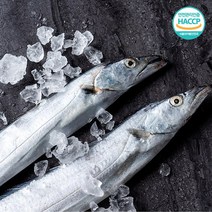 제주도갈치 HACCP 토막 손질 은갈치 조림구이 진공포장 선물세트, 은갈치 대 6미