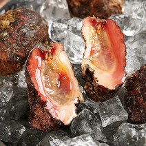 [KT알파쇼핑]통영 돌멍게 1kg 4-7미x1, 없음, 1개