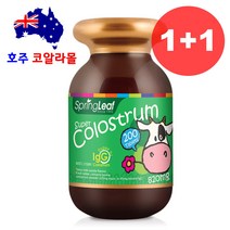 호주직구 초유 단백질 칼슘 200정 츄어블 2개 스프링리프 호주코알라몰, 200정 2개