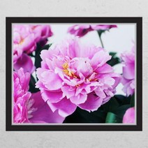 [바보사랑] 부를부르는풍수작약꽃_창문그림액자[꾸밈], 타입선택:A타입내부창문형