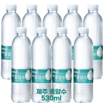 오리온 제주 용암수 530ml 20개 40개 60개 80개 생수전문배송 생수배달