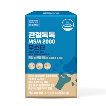 하루보람 관절톡톡 옵티 MSM 2000 무릎 관절 연골 영양제, 1개, 60정