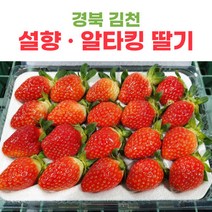 산지직송 김천 딸기 설향딸기 알타킹딸기 500g 1kg 2kg, 설향딸기_24구