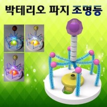 제이스토어 / 박테리오 파지 조명등 만들기 5인용