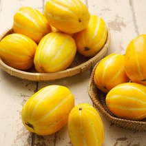 성주 햇 참외 고당도 꿀단지참외 선물용 소과 (5~6과) 1.5kg (기본포장), 단품