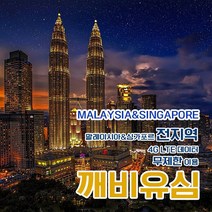 깨비유심 코타키나발루 말레이시아 전지역 4G LTE 데이터 4일 이용 유심 출국전 불량 유심 확인 가능 (4362493), 인천공항 터미널 2 수령