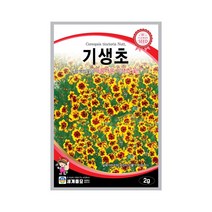 모칸도 (무배)세계 기생초 꽃씨 (2g)