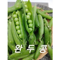 완두콩 국내산 햇완두콩 2kg 발품장터, 1개