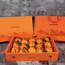 [명절 선물세트] 프리미엄 제주 한라봉 특대과, 한라봉 설날 선물세트, 3kg (8과~10과)