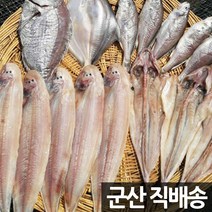 장스토어 제수용 반건조 도미 1미 500g 국내산 군산항직송, 1세트, 제수용 도미 1미 500g 내외
