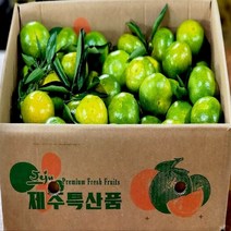 탐라인 산지직송 제주 조생 유라조생 극조생감귤 중과 2kg, 1box