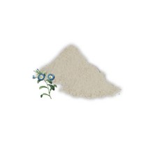 [백향기] 흑축(나팔꽃씨) 분말가루 비누만들기 천연화장품만들기 천연팩, 500g