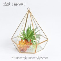 원예 테라리움 미니분경 거실장식 다육 식물 디스플레이 장식, B