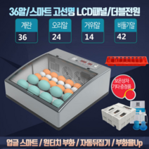병아리 부화기 미니 메추리알 계란 자동 전란 온도조절 유정란 키우기 조류 물공급기, 프리미엄 부화기 36구