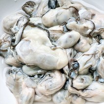 [자연맛남] 국내산 통영 최상급 생굴 3kg, 상세 설명 참조