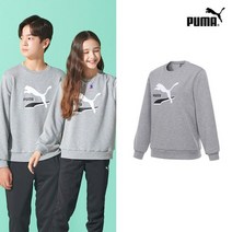 푸마키즈 PUMA NEW 푸마키즈 주니어 로고포인트 맨투맨 그레이