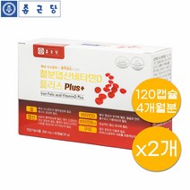 종근당 철분엽산비타민D 120캡슐 임산부 헤모글로빈 헴철