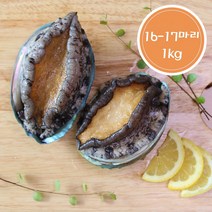 완도전복 16-17미 1kg, 일반, 9999